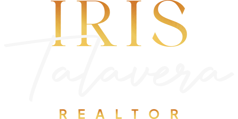 IRAIDES TALAVERA SOCORRO